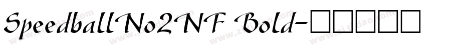 SpeedballNo2NF Bold字体转换